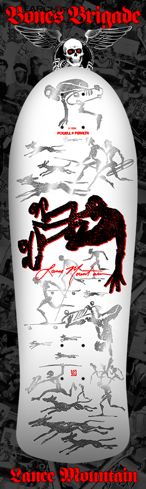 Bones Brigade Series 17 Mountain White