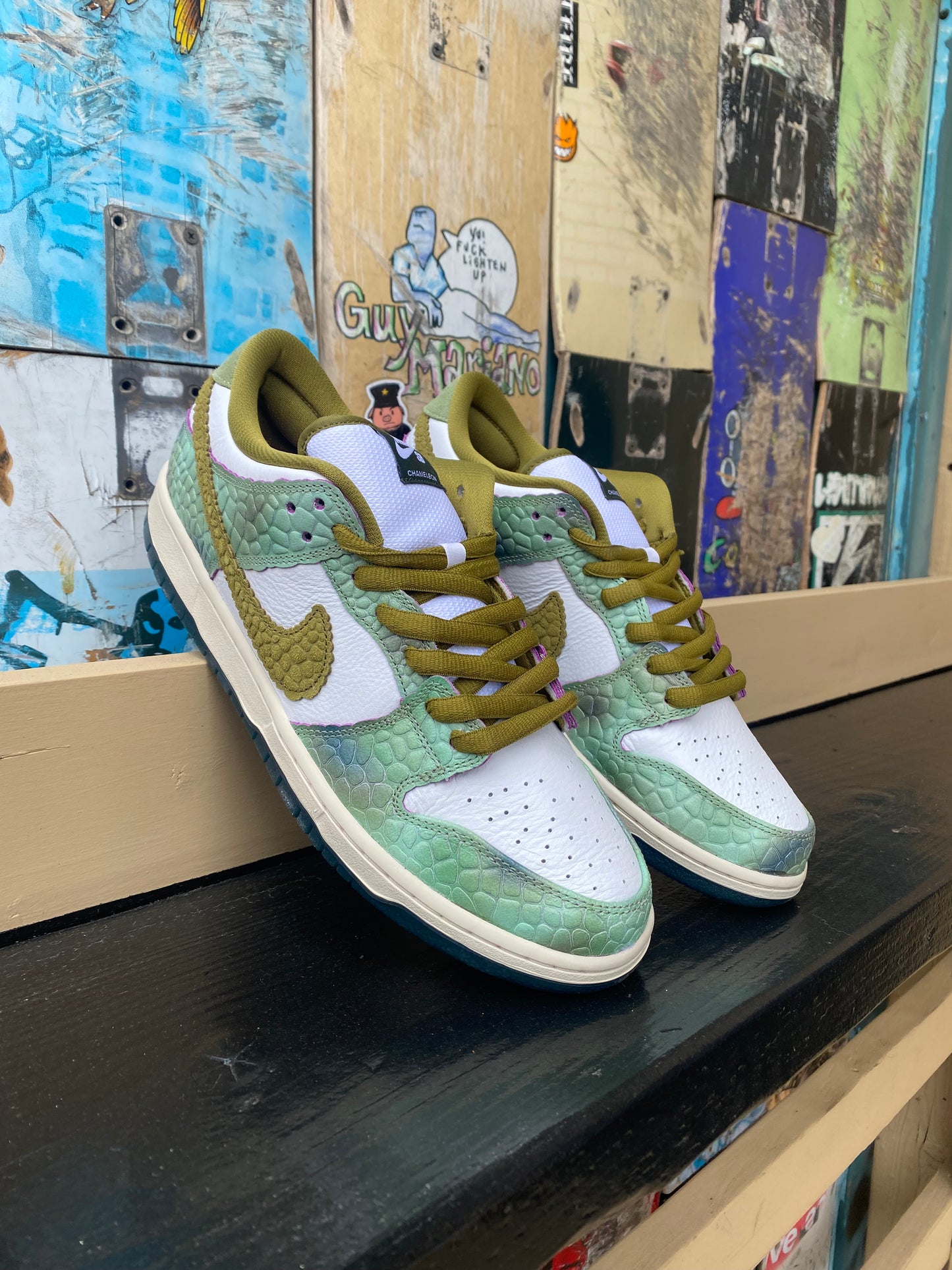 Nike Sb Dunk Low Chameleon Alexis Sablone