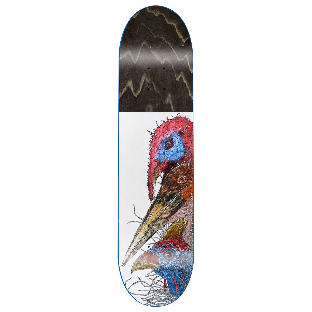 GX1000 Birds - 8.125