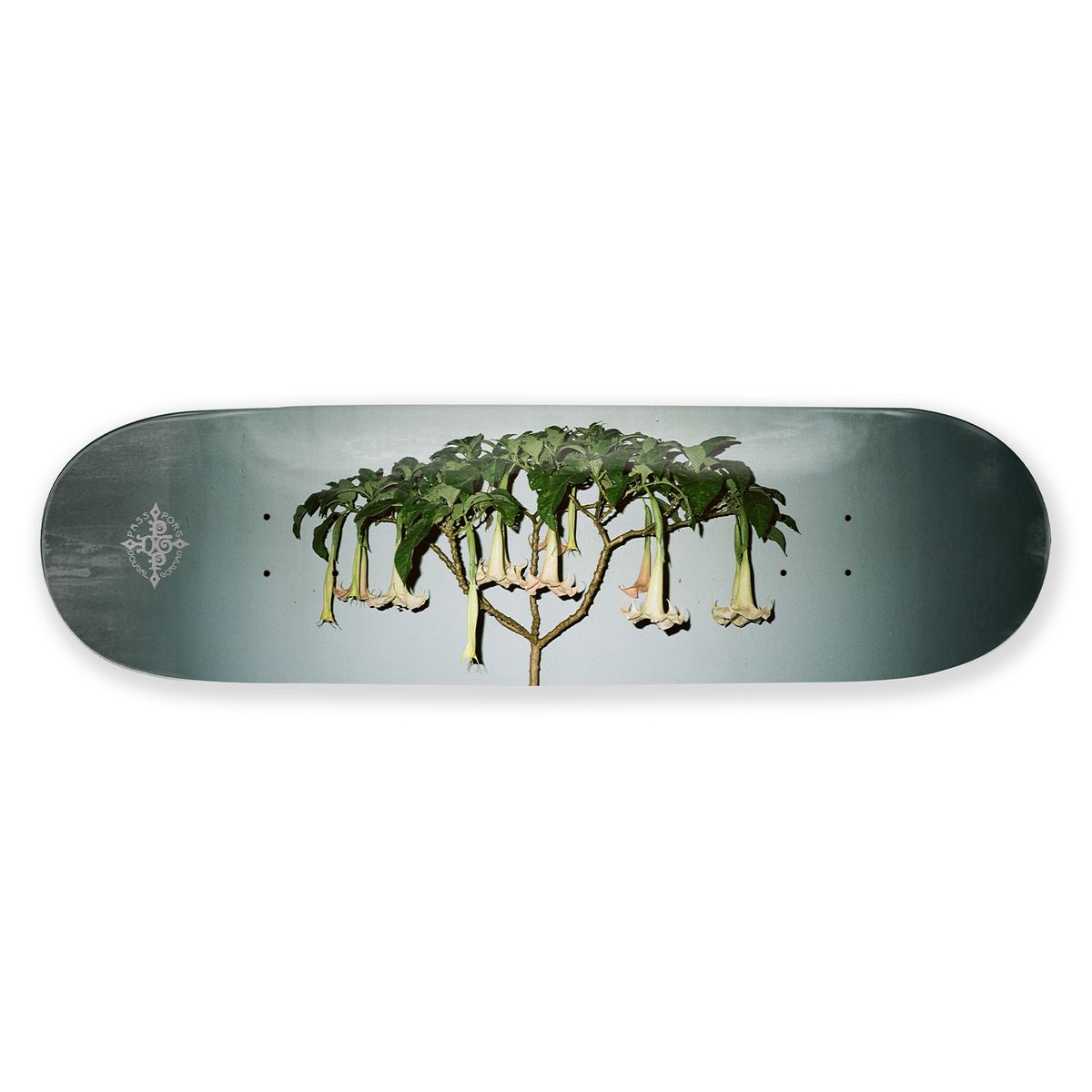 Passport D.G Series Deck