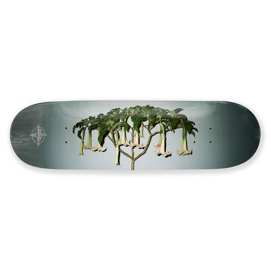 Passport D.G Series Deck