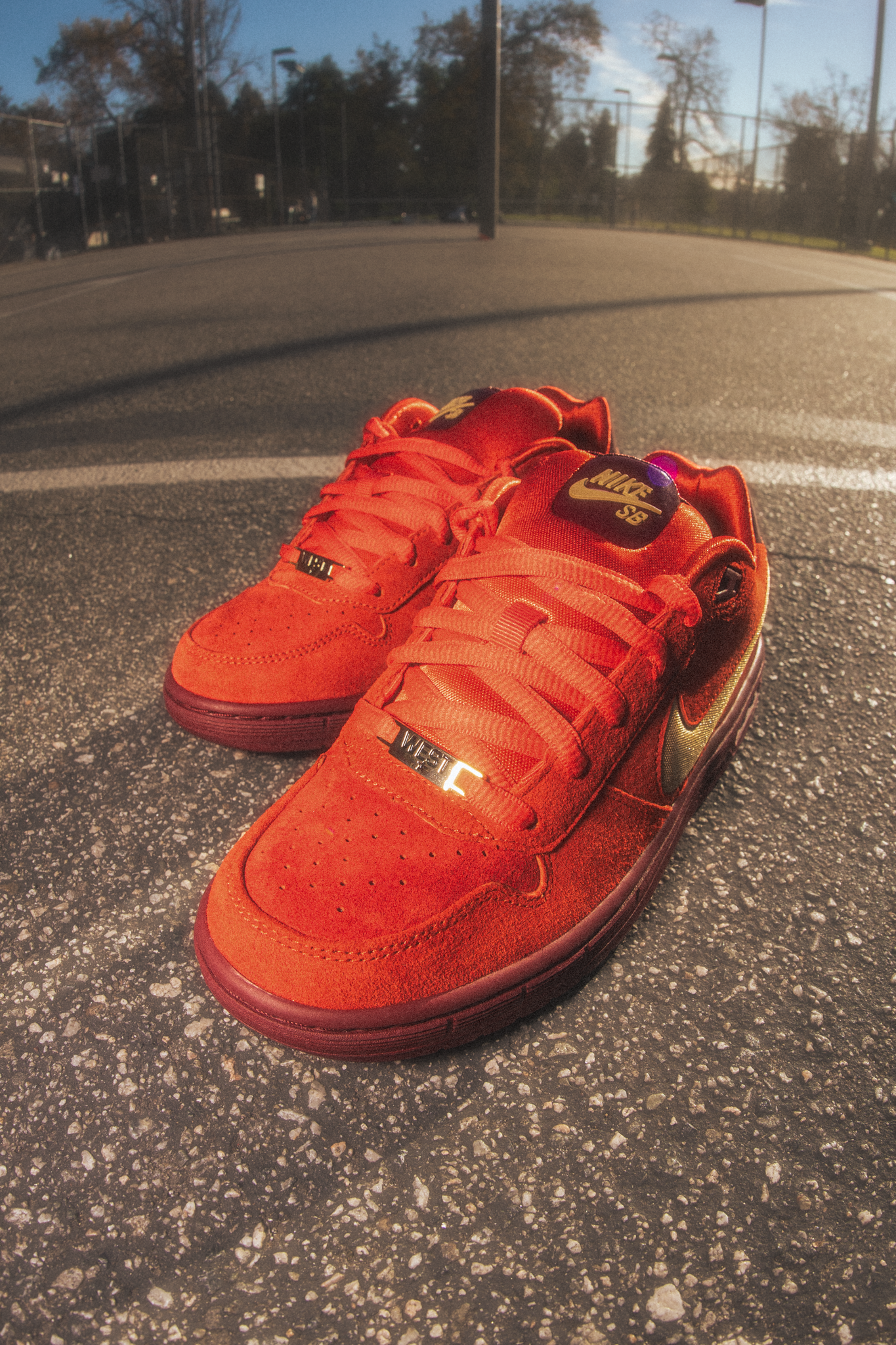 Nike Sb PROD ASW all star